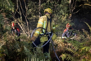 illustration Feu de forêt en Gironde : 1800 hectares détruits et 540 personnes évacuées