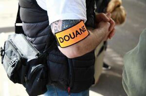 illustration Toulouse : le chien des douanes mange une partie des 25 kg de cannabis saisis, le trafiquant repart libre du tribunal