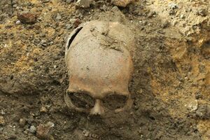 illustration Angleterre : les squelettes découverts en 2004 étaient des victimes d’un massacre antisémite du Moyen-Âge