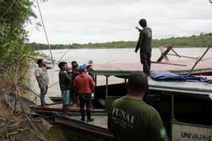illustration Disparus d’Amazonie : deux corps attachés à un arbre et des affaires du journaliste Dom Philipps retrouvés