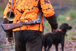 illustration Aux Etats-Unis, un chien tue par balle un chasseur en marchant sur un fusil