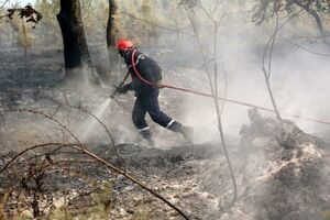 illustration Alpes-de-Haute-Provence : reprises de feu sur deux zones, plus de 800 hectares parcourus