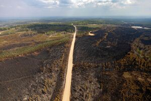 illustration Incendies dans l’Ouest canadien : une légère amélioration, encore 76 incendies actifs