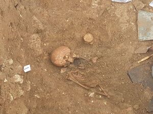 illustration Hautes-Pyrénées : des ossements dont « une partie de crâne » retrouvés sur un chantier
