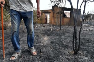 illustration Algérie : les incendies «sont totalement maîtrisés», annonce la protection civile