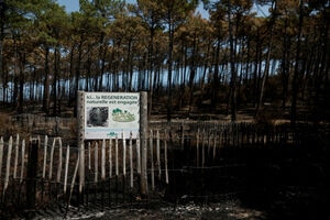 illustration Incendies en Gironde : feu fixé à La Teste-de-Buch, celui de Landiras toujours «contenu»