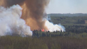 illustration VIDÉO. « Le ciel était noir comme du charbon » : les évacués des feux de forêt au Canada témoignent