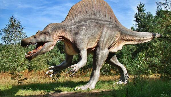 illustration Deux panneaux « attention aux dinosaures » disparaissent, un site Unesco ardéchois lance un avis de recherche