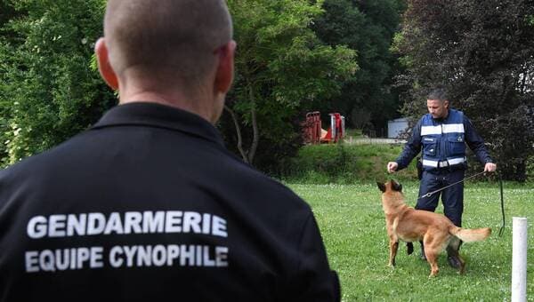 illustration Joggeuse de 17 ans disparue en Mayenne : les gendarmes du Maine-et-Loire engagés dans les recherches