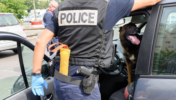 illustration Le chien des douanes mange la drogue saisie, le suspect ressort libre du tribunal de Toulouse