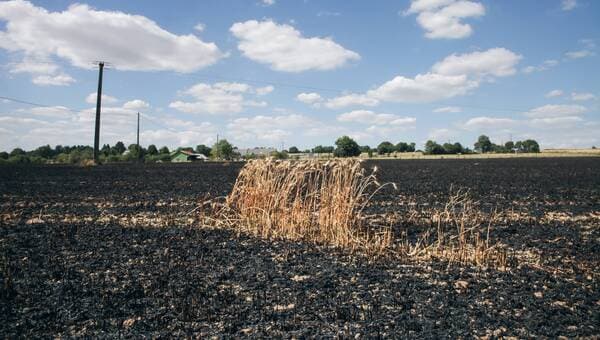 illustration Un incendie ravage 16 hectares de cultures d’orge en Côte-d’Or