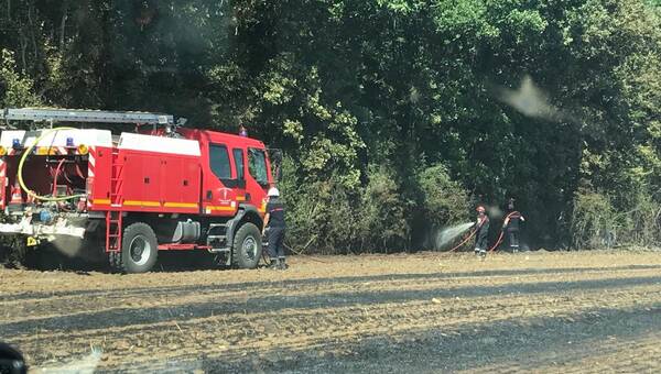 illustration Deux-Sèvres. Sécheresse : près de cent hectares sont partis en fumée ce mercredi 15 juin