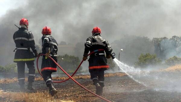 illustration 132 pompiers mobilisés pour des feux de chaume en Deux-Sèvres : 21 hectares réduits en cendres