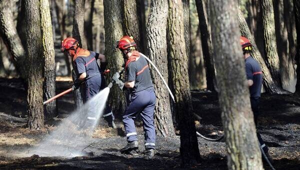 illustration Maine-et-Loire. Près de 70 pompiers interviennent pour un feu de forêt