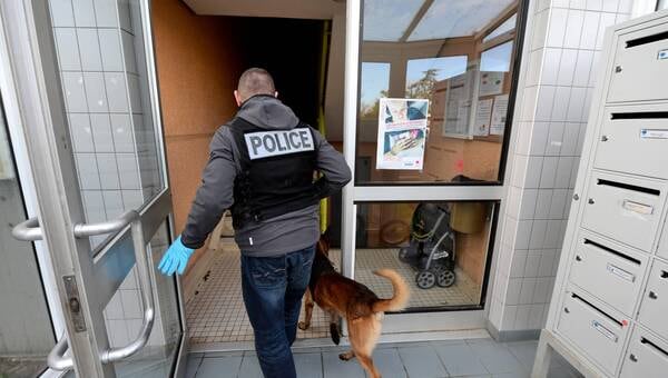 illustration Nantes. La police découvre une culture de cannabis grâce au flair d’un chien
