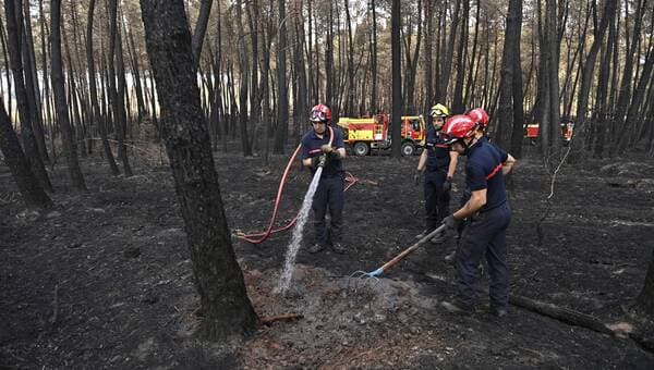 illustration Incendies en Sarthe. L’intervention des pompiers a permis de sauver 400 hectares de forêts