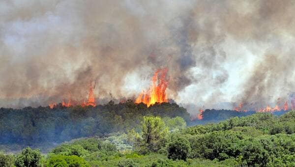 illustration Incendies dans l’Hérault. 1000 hectares ont brûlé, 280 personnes évacuées… On fait le point