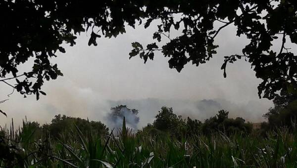 illustration La Trinité-Surzur. Un feu dans une exploitation agricole provoque un panache de fumée