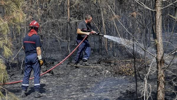 illustration Feux de forêt en Sarthe : encore 120 sapeurs-pompiers mobilisés ce week-end