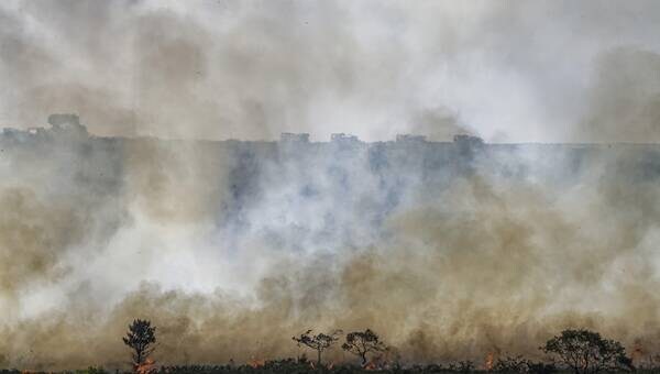 illustration Pourquoi les incendies dans les forêts perturberont le climat pendant des dizaines d’années