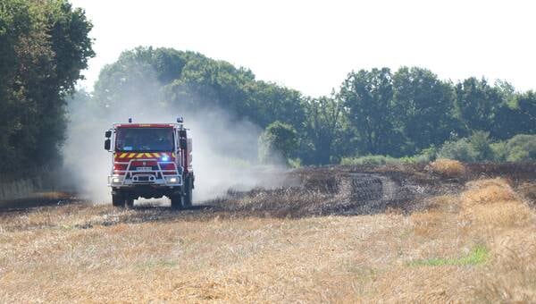 illustration Vendée. Des feux de végétation mobilisent les pompiers