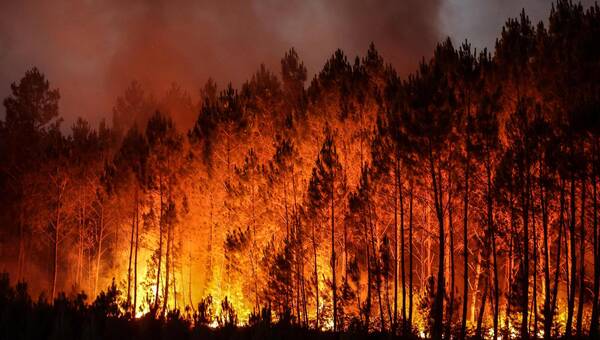 illustration Un nouvel incendie détruit 150 ha de pins dans les Landes, une quinzaine d’évacuations