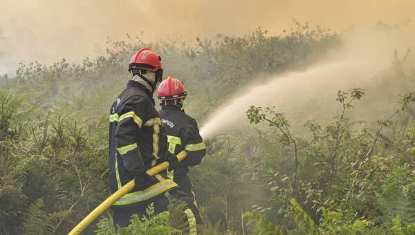 illustration Incendie en Haute-Corse : « 450 hectares » de maquis partis en fumée
