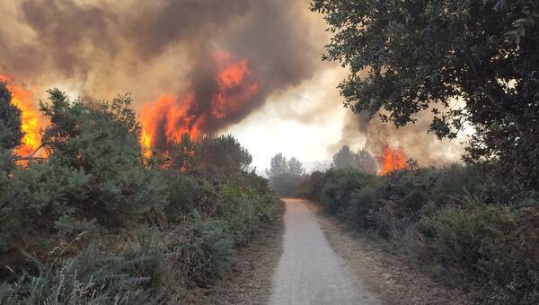 illustration EN IMAGES. Incendies dans le Morbihan : les photos impressionnantes de nos internautes