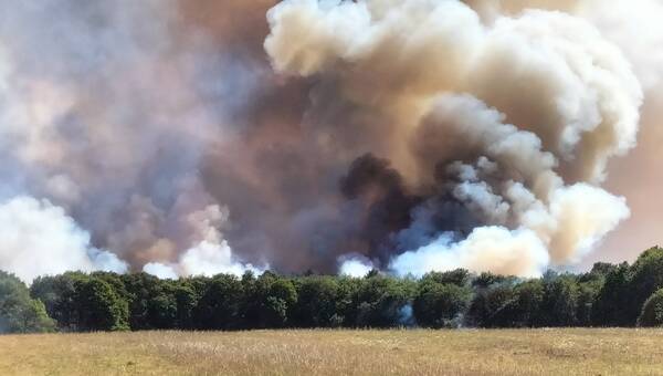 illustration Locoal-Mendon. Un important feu de végétation près de la D16 : « La priorité, sauver les villages »