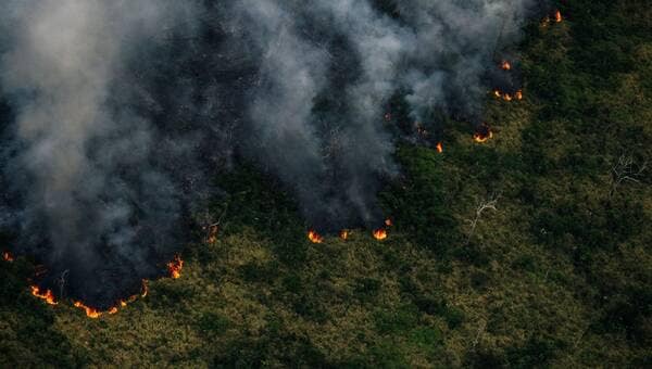 illustration L’Amazonie a déjà connu plus d’incendies qu’en 2021