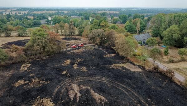 illustration Après les incendies de l’été 2022, un appel aux dons pour sauver les forêts françaises