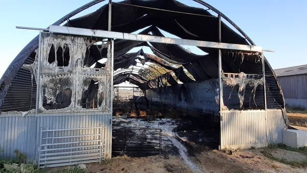 illustration Une centaine de brebis tuées lors d’un incendie dans un hangar agricole à Plessé