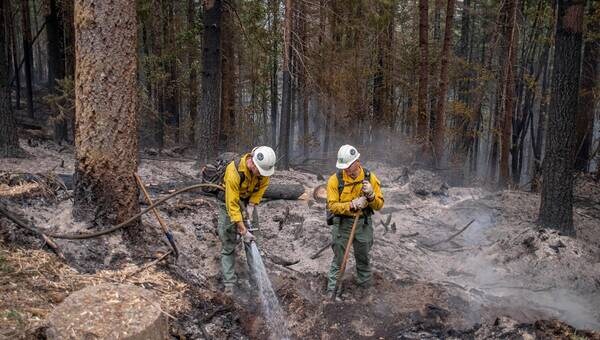 illustration Incendie aux États-Unis : près de 35 000 hectares ravagés et des centaines de foyers évacués