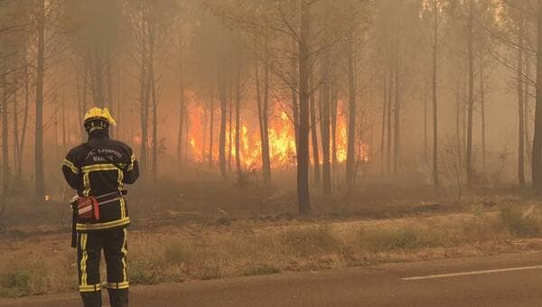 illustration EN IMAGES. Incendie en Gironde : les sapeurs-pompiers de la Manche ont combattu le feu à Saumos