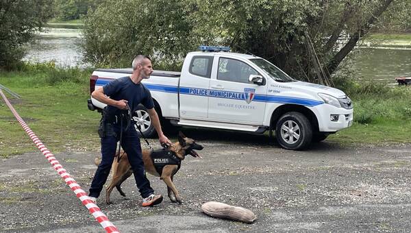illustration VIDEO. Les chiens des polices municipales de plusieurs villes s’entraînent à Angers