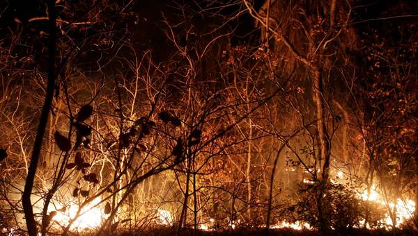 illustration Bolivie. Les incendies provoqués dans les zones forestières ont triplé en deux semaines