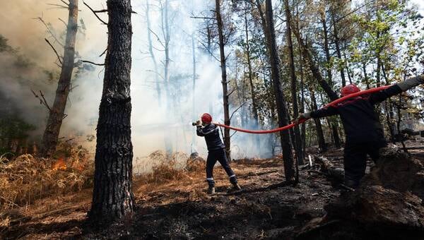 illustration Incendies des monts d’Arrée et en forêt de Brocéliande. 2022, année record pour les pompiers locaux