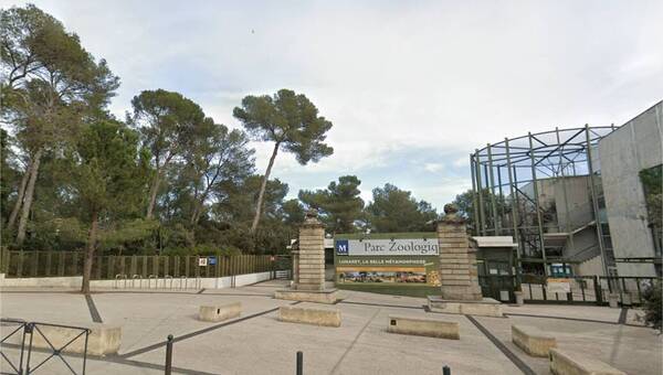 illustration Il vole une voiturette et dégrade des enclos : un homme interpellé, le zoo de Montpellier fermé