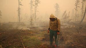 illustration EN IMAGES. En Sibérie, des incendies ravagent plus d’un million d’hectares de forêts