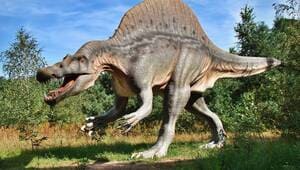 illustration Deux panneaux « attention aux dinosaures » disparaissent, un site Unesco ardéchois lance un avis de recherche