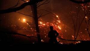illustration Incendies en Grèce. Le feu embrase des villages aux portes d’Athènes, deux décès signalés