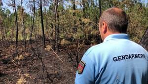 illustration Maine-et-Loire. Une vingtaine d’incendies suspects près de Saumur : les gendarmes enquêtent en forêt