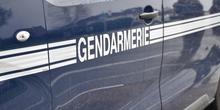 illustration Sud-Gironde : un cheval tué par une voiture à Bernos-Beaulac